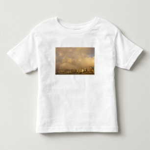 Rainbow over Honolulu, Hawaii, USA 3 Toddler T-Shirt