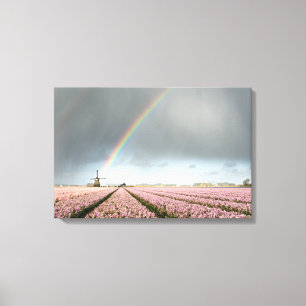 Rainbow over hyacinths and a windmill in Holland Canvas Print