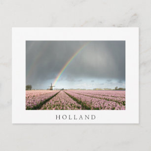 Rainbow over hyacinths and a windmill in Holland Postcard