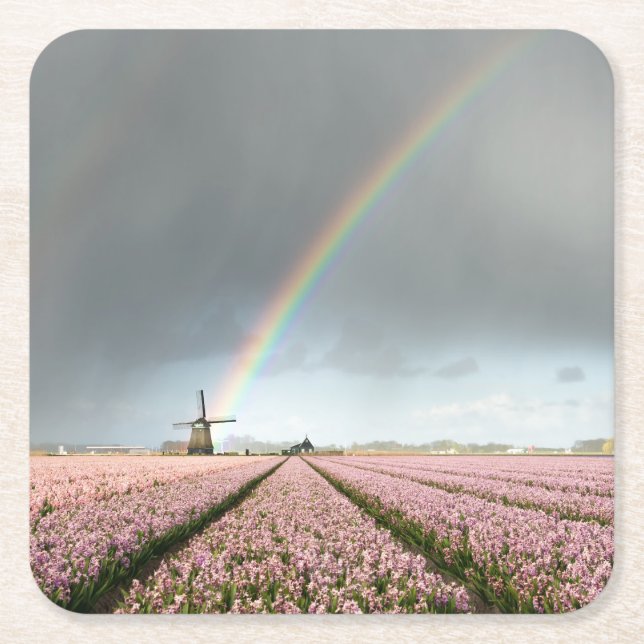 Rainbow over hyacinths and a windmill in Holland Square Paper Coaster (Front)