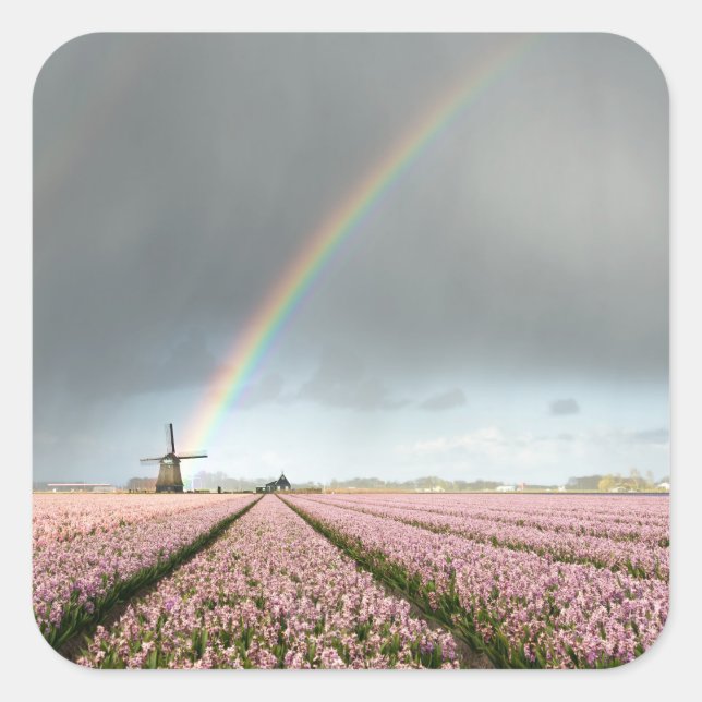 Rainbow over hyacinths and a windmill in Holland Square Sticker (Front)