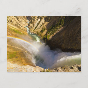 Rainbow over Lower Yellowstone Falls Postcard