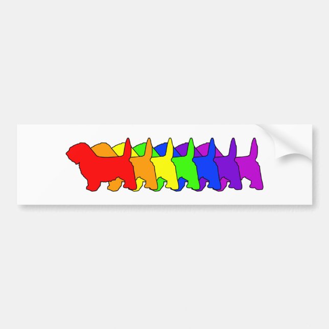 Rainbow PBGV Bumper Sticker (Front)