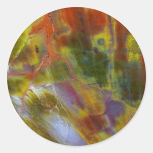 Rainbow Petrified Wood Classic Round Sticker