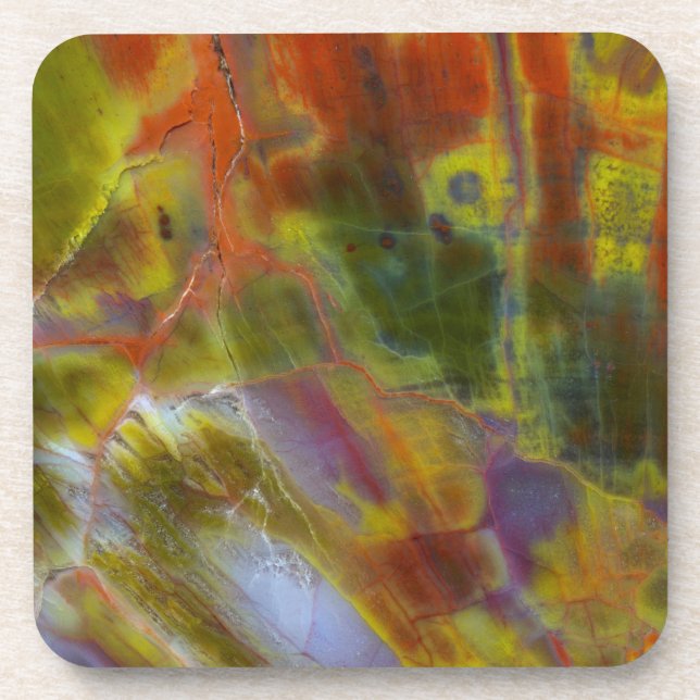 Rainbow Petrified Wood Coaster (Front)