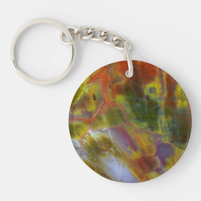 Rainbow Petrified Wood Key Ring (Front)