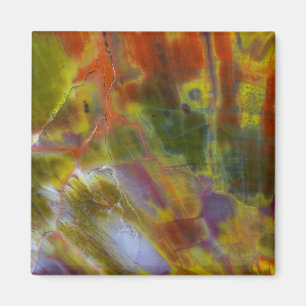 Rainbow Petrified Wood Magnet