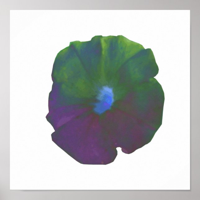 Rainbow Petunia Poster (Front)