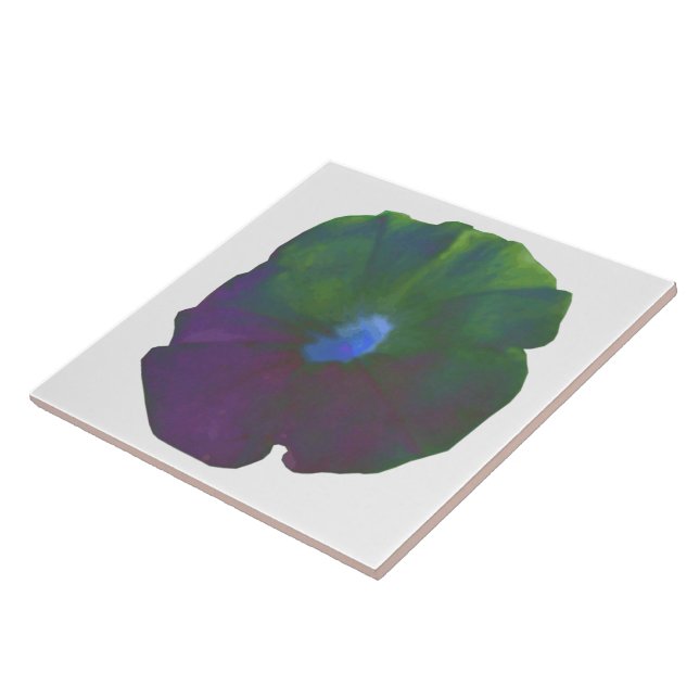 Rainbow Petunia Tile (Side)