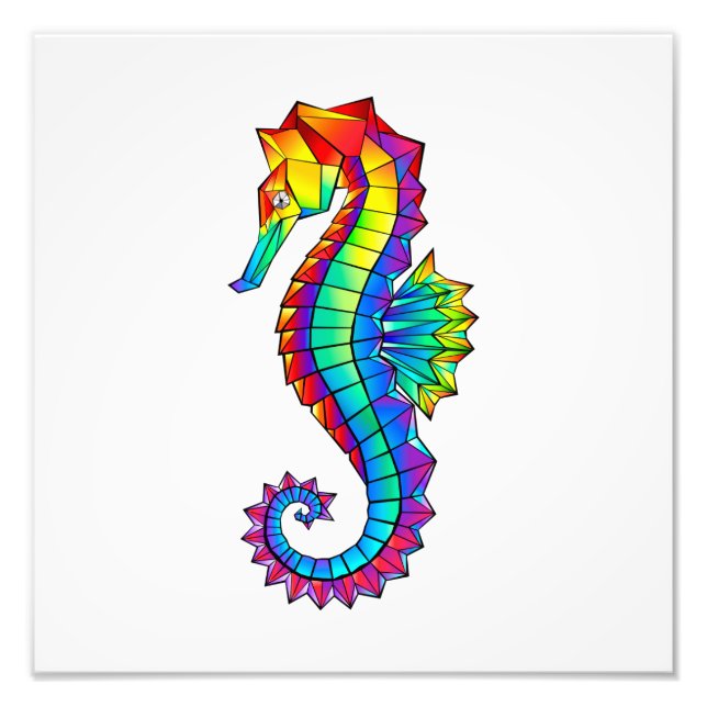 Rainbow Polygonal Seahorse Photo Print (Front)