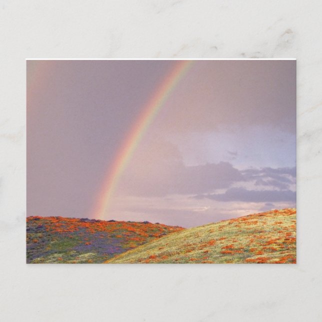 Rainbow Postcard (Front)