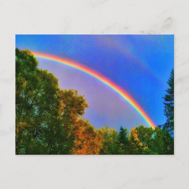 RAINBOW Postcard (Front)