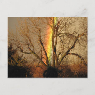 Rainbow Postcard