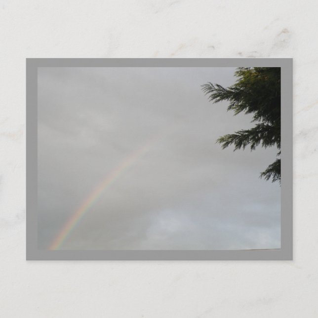 Rainbow Postcard (Front)