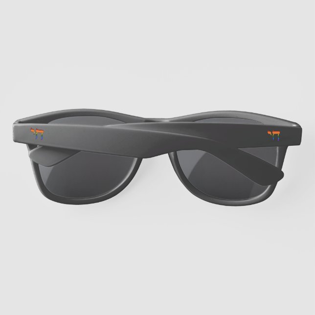 Rainbow Pride Chai Flag  Sunglasses (Back)