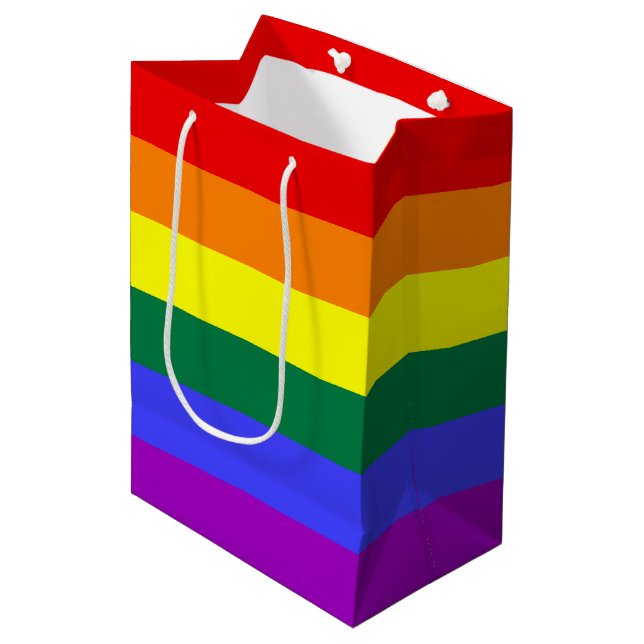 Rainbow Pride Flag Medium Gift Bag (Front Angled)