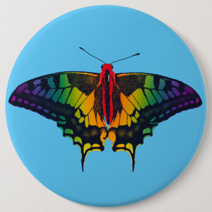 Rainbow Pride Flag Swallowtail Butterfly 6 Cm Round Badge