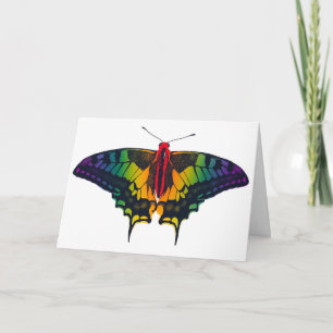Rainbow Pride Flag Swallowtail Butterfly Card