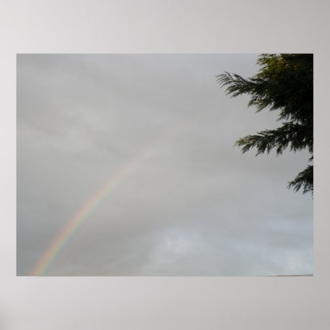 Rainbow Print (Front)