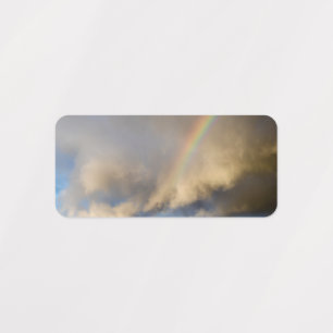 rainbow rebellion