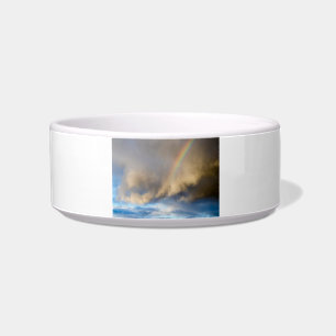 rainbow rebellion bowl