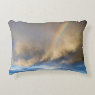rainbow rebellion decorative cushion