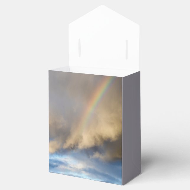 rainbow rebellion favour box (Opened)