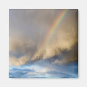 rainbow rebellion magnet