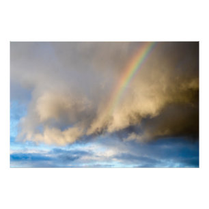 rainbow rebellion photo print