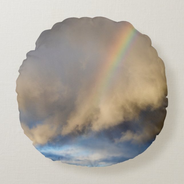 rainbow rebellion round cushion (Front)