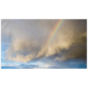 rainbow rebellion tablecloth