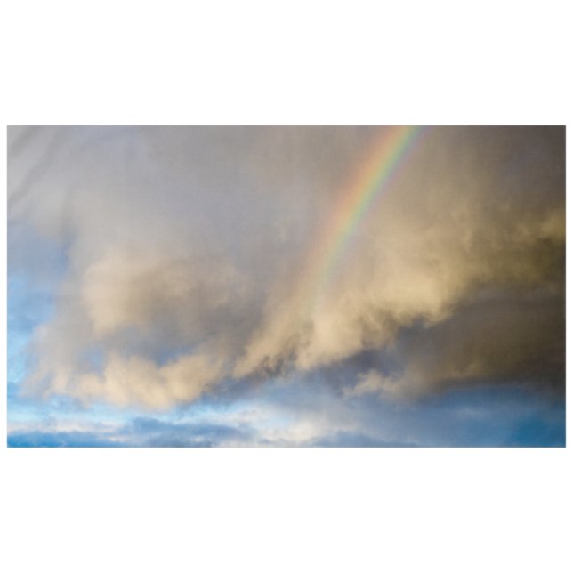 rainbow rebellion tablecloth (Front (Horizontal))