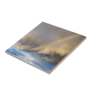 rainbow rebellion tile