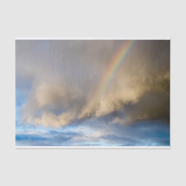 rainbow rebellion tissue paper (Front)