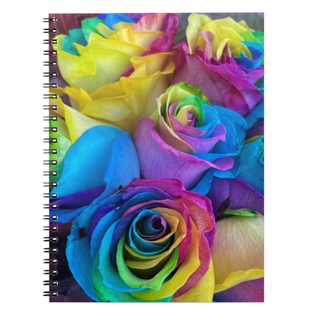 Rainbow rose notebook (Front)