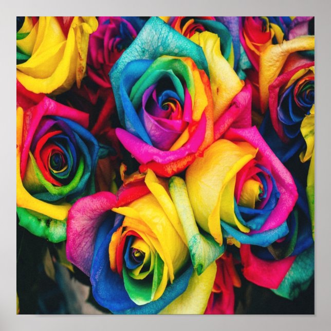 Rainbow Roses Bouquet Poster (Front)