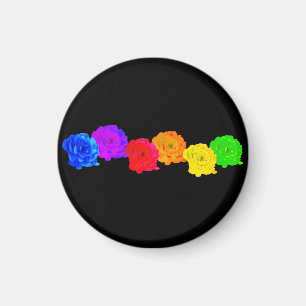Rainbow Roses Magnet