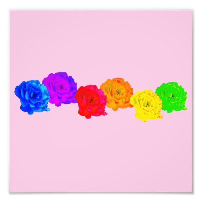 Rainbow Roses Photo Print (Front)