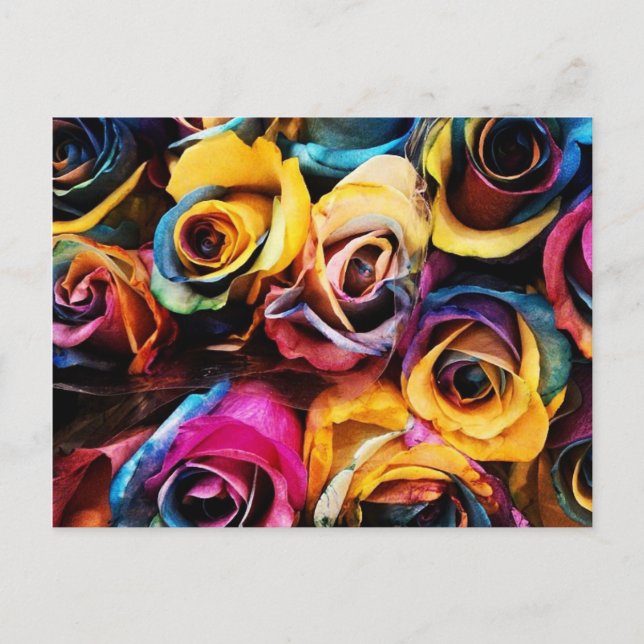 Rainbow Roses Postcard (Front)