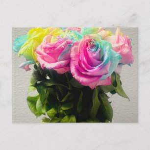 Rainbow Roses Postcard