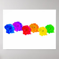 Rainbow Roses