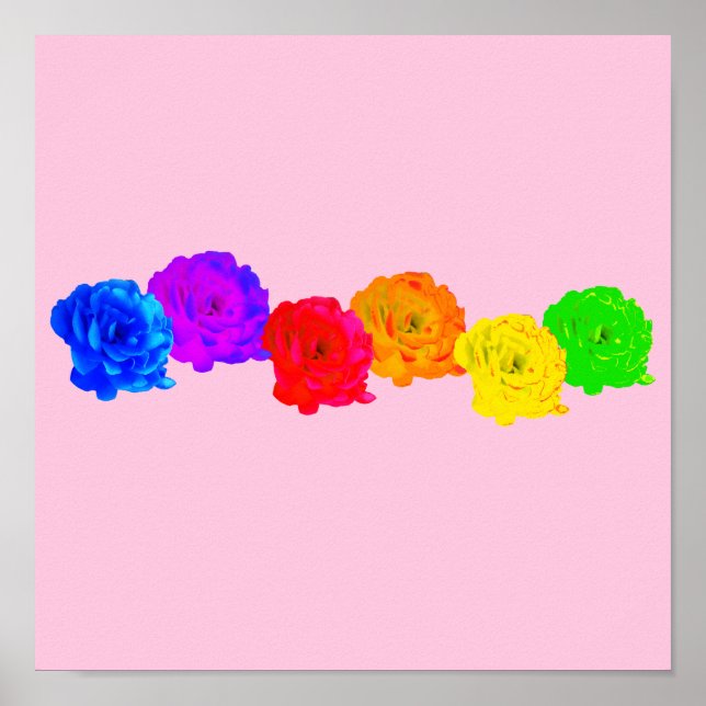 Rainbow Roses Poster (Front)