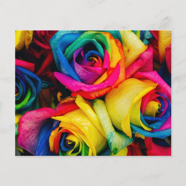 Rainbow Roses Rose blossoms romantic peace joy (Front)