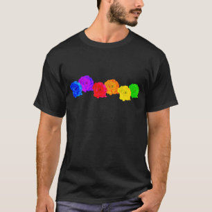 Rainbow Roses  T-Shirt