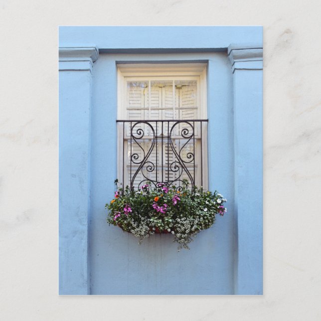 Rainbow Row Flower Box, Charleston, S.C. Postcard (Front)