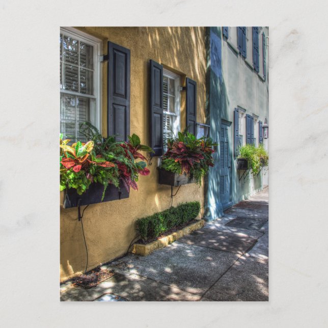 Rainbow Row.jpg Postcard (Front)