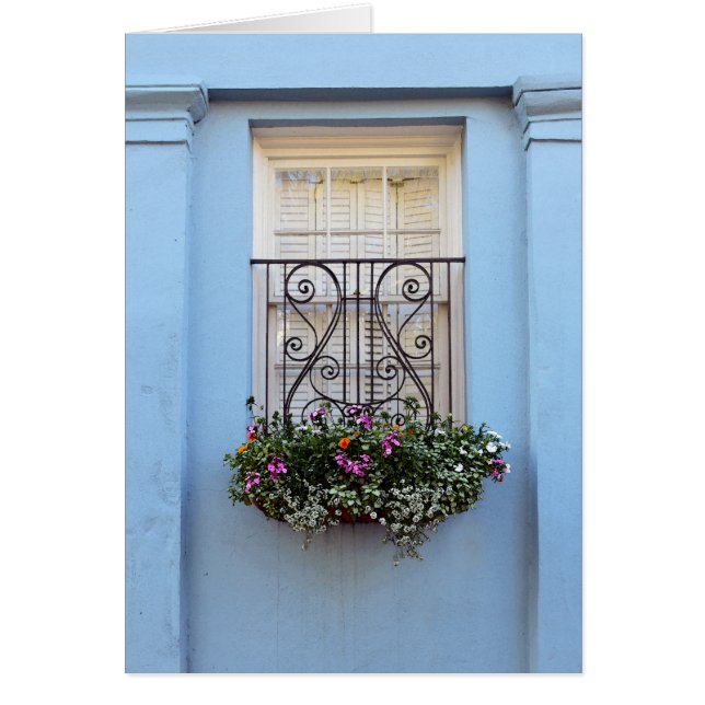 Rainbow Row Window Flower Box, Charleston, S.C. (Front)