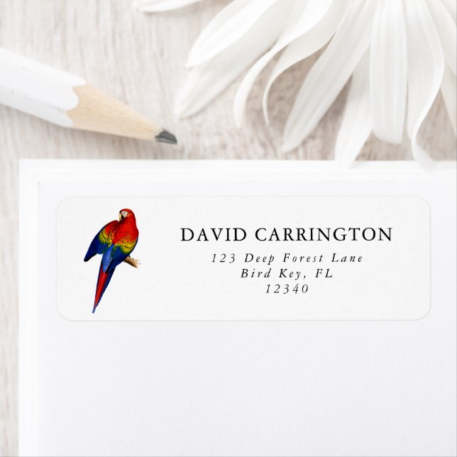 Rainbow Scarlet Macaw Tropical Rain Forest Bird (Insitu)