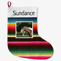 Rainbow Serape Custom Horse 1 Photo