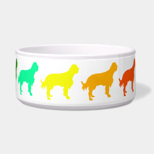 Rainbow Setter Pet Bowl